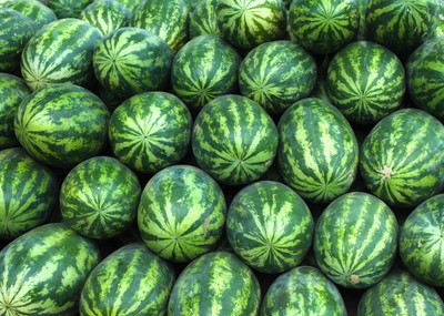 sporos Watermelon Seeds Seed(20 per packet)