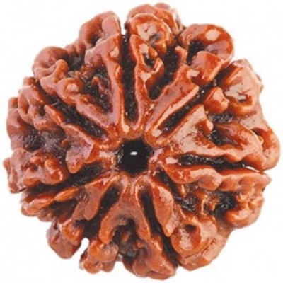 aura gems jewels Natural 7 Mukhi 15mm Nepali Certified Rudraksha Beads Beads Wood Pendant