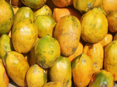 Corofitam Papaya Seed(15 per packet)