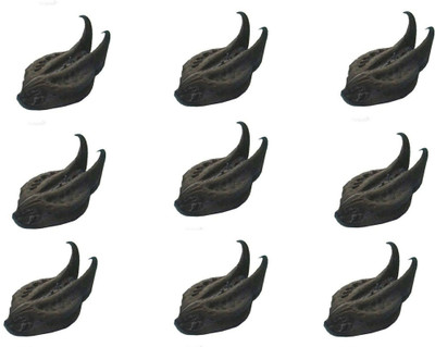 Epoojacart Bat Head Root Seeds Seed(11 per packet)