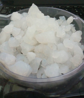 kotaliya Banslochan Seed(250 per packet)