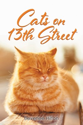 Cats on 13th Street(English, Paperback, Hilton Beverlee)