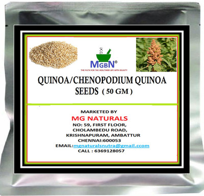 MGBN QUINOA/CHENOPODIUM QUINOA SEEDS Seed(50 per packet)