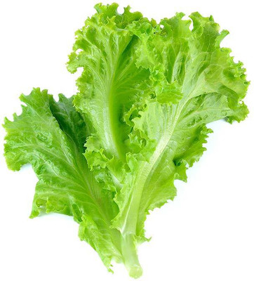 ALPINE HYBRID SEEDS Lettuce Seed(50 per packet)