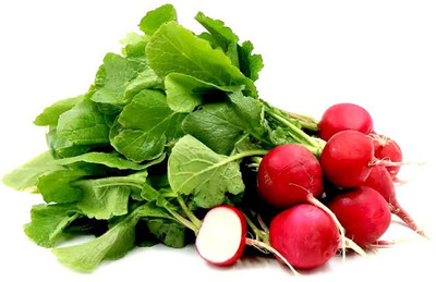 decorehomz Decorehomz Radish Red Round vegetable seeds 30 to 40 seeds in 1pack Seed(40 per packet)
