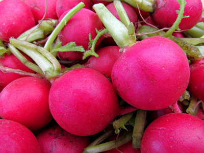 Paudha Radish Red Round Seed(46 per packet)