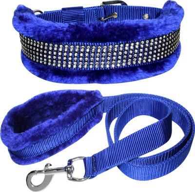 BODY BUILDING Dog Belt Combo of 1.25 inch Blue Feather Padded Dog Collar with Dog Leash Soft Handle Feather Padded Dog Collar & Leash(Large, 1.25 inch Blue Feather Dog Belt)