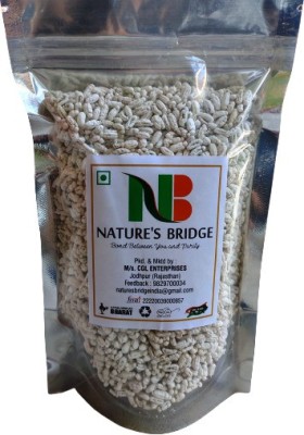 Nature's Bridge Madrasi White Saunf (400 Gm) / Sweet White Fennel / Madrasi Saunf / Mukhwas / Mouth Fresheners Sweet, Peperment Mouth Freshener(400 g)