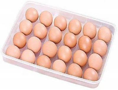 Taxila Plastic Egg Container  - 2 dozen(White)