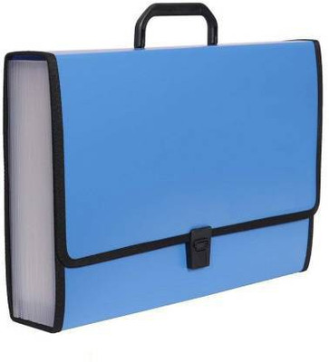 PPS PLASTIC Expanding File Folder(Set Of 1, Blue)