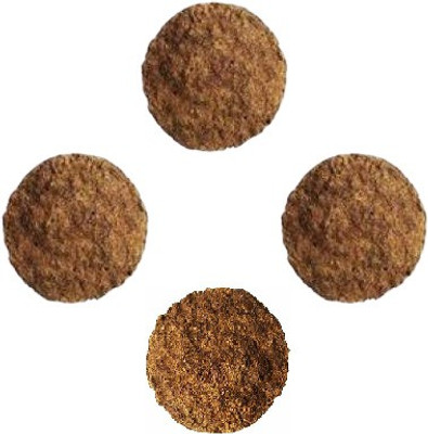Corofitam Cow Dung Cake Upla(Pack Of 4)