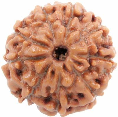 Ratehalf Original Gyarha Mukhi 11 face (Eleven Faced) Natural Rudraksha Bead Beads Wood