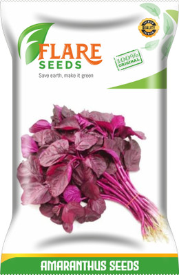 FLARE SEEDS AMARANTHUS Seed(52 per packet)