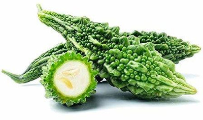 VibeX Bitter Gourd Seed(125 per packet)