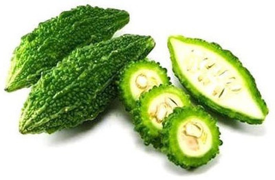 ActrovaX High Yield Rare Bitter Gourd Vegetable [400 Seeds] Seed(400 per packet)