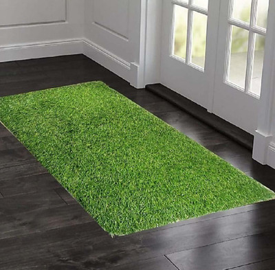 hd interio Plastic Door Mat(Green, Large)