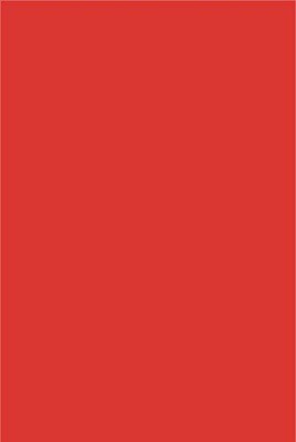 SHARMA BUSINESS X Unruled A4 130 gsm Coloured Paper(Set of 1, Red)