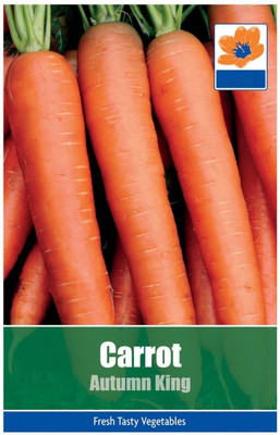 VibeX Carrot Seed(150 per packet)