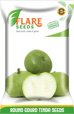 FLARE SEEDS Round Gourd Tinda Vegetable Seed(100 per packet)