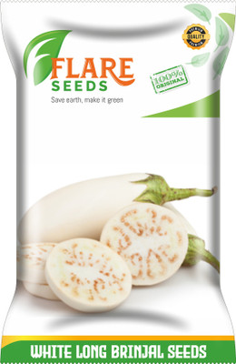 FLARE SEEDS WHITE BRINJAL Seed(100 per packet)