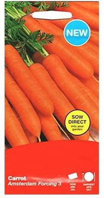 VibeX Carrot Seed(75 per packet)