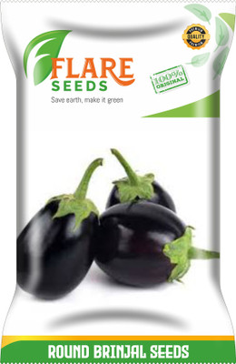 FLARE SEEDS ROUND BRINJAL Seed(100 per packet)