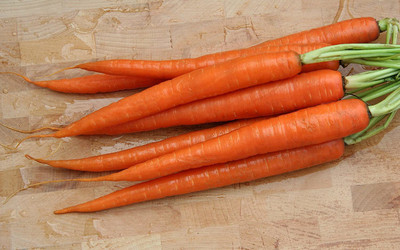 VibeX carrot Seed(2000 per packet)