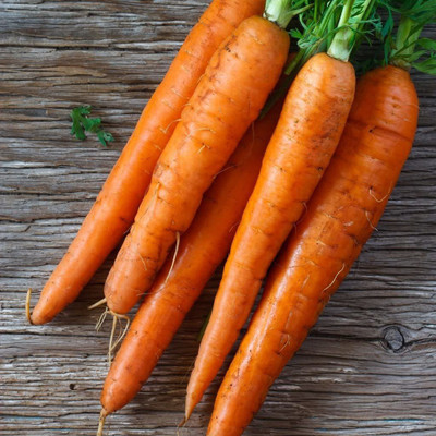 CYBEXIS Sugar Snax Carrot Seeds2000 Seeds Seed(2000 per packet)