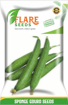 FLARE SEEDS SPONGE GOURD TORAI Seed(50 per packet)
