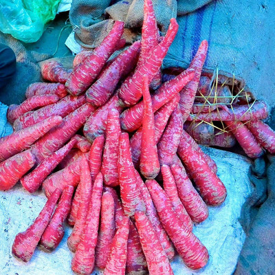 VibeX carrot Seed(800 per packet)