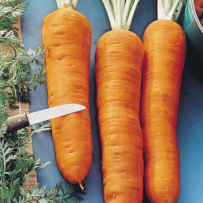 VibeX carrot Seed(700 per packet)