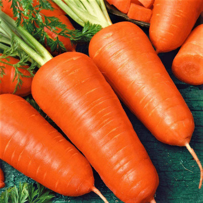 VibeX Carrot Seed(175 per packet)