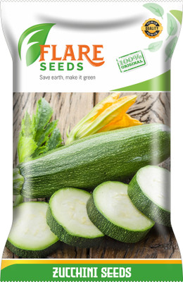 FLARE SEEDS SQUASH ZUCCHINI Seed(20 per packet)