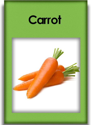 VibeX Carrot Seed(175 per packet)