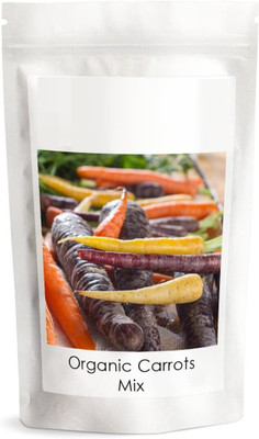 VibeX carrot Seed(2500 per packet)