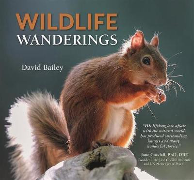 Wildlife Wanderings(English, Hardcover, Bailey David)