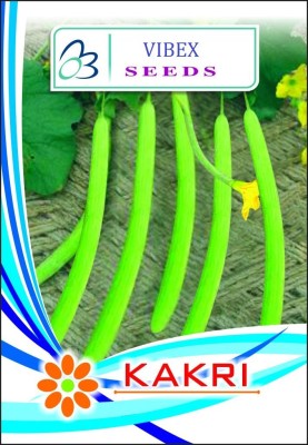 Biosnyg KAKRI DESI Summer Special Seeds 25gm Seeds Seed(25 g)