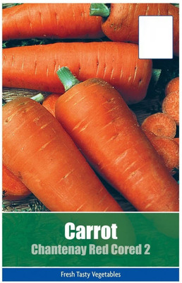 VibeX XII-296-Vegetable - Carrot Bangor Seed(150 per packet)