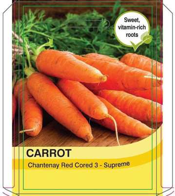 WILLVINE ™Vegetables - Carrot Chantenay Red Cored 3 - Supreme Seed(2500 per packet)
