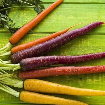 VibeX carrot Seed(225 per packet)