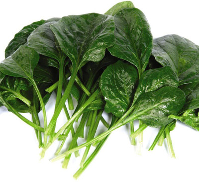 VibeX ™ XII-1245-Spinach 'Helios' F1 Hybrid Spinacia Oleracea Seed(2000 per packet)