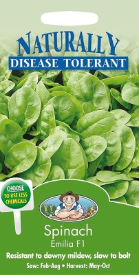 VibeX Spinach Seed(1500 per packet)