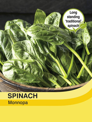 VibeX CBZ-482-Vegetable - Spinach Monnopa - Seeds Seed(800 per packet)