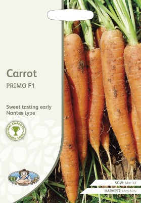 VibeX carrot Seed(250 per packet)