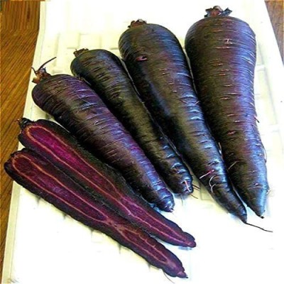 VibeX carrot Seed(1000 per packet)