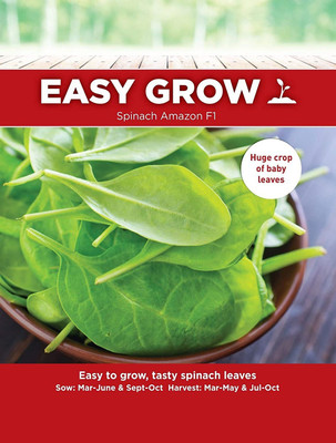 VibeX Spinach Seed(1500 per packet)