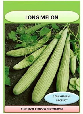 DROXTY ® IARI-154-Vegetable Seeds | kakri Long Melon | F1 Hybrid | Organic Seeds Seed(50 per packet)