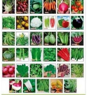 Seedshub vegetable seeds Seed(30 per packet)