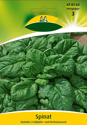 VibeX LXI-1079-F1 Hybrid Spinach 'Matador' Seed(150 per packet)