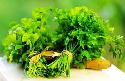 TRICONE Dhaniya Seed(100 per packet)